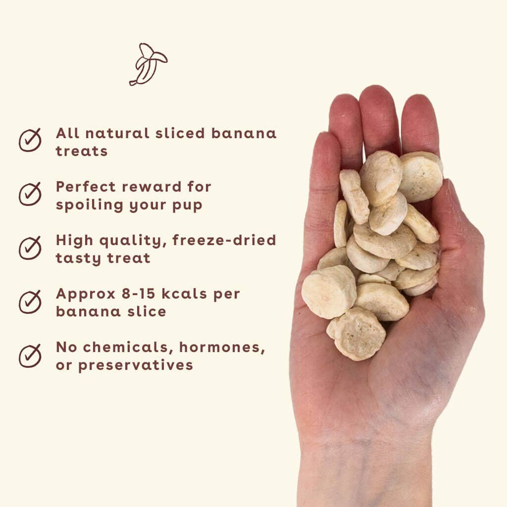 Banana Chips 3oz
