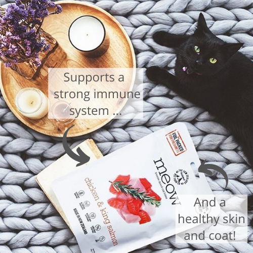 Meow Chicken & King Salmon Freeze Dried Cat Food: 1.76oz