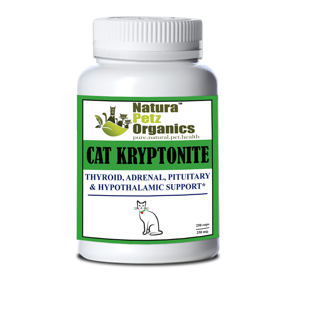 Dog and Cat Kryptonite Adrenal, Thyroid, Pituitary & Hypothalamic Support*: Dog Kryptonite Adult & Senior 90 Caps / 500 Mg No Flavoring