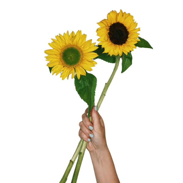 Vital Blend for Dogs: 250g