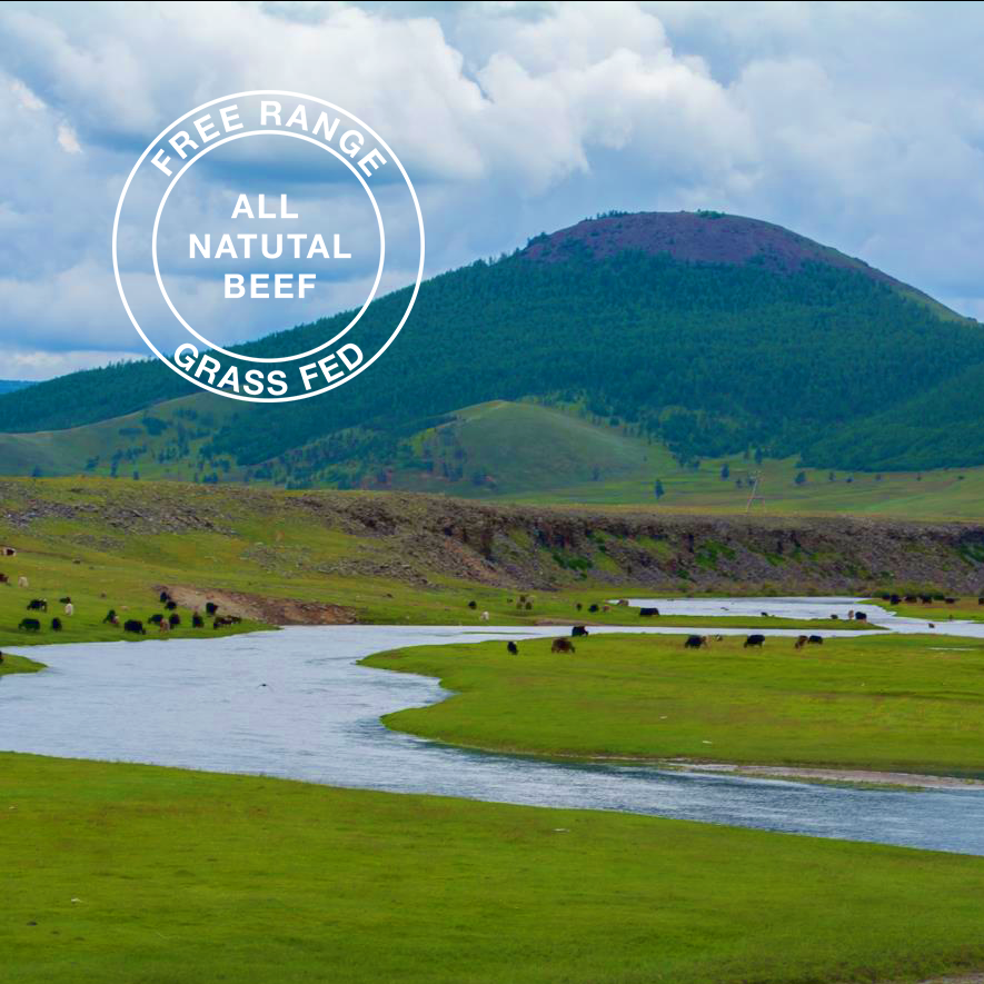 Chewy Time - All Natural, Grass-Fed & Free-Range Beef Tendon