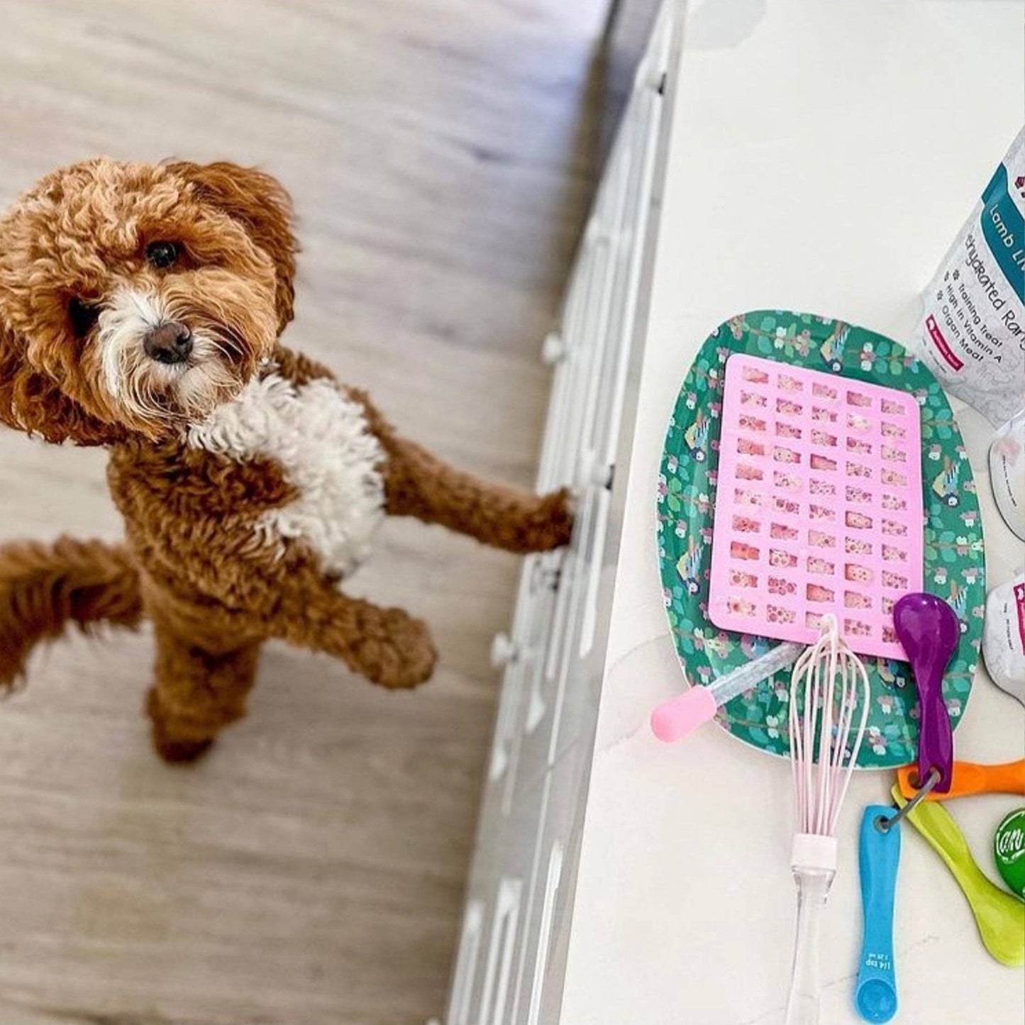 DIY Gummi Bear Mix for Dogs: DIY Mix only