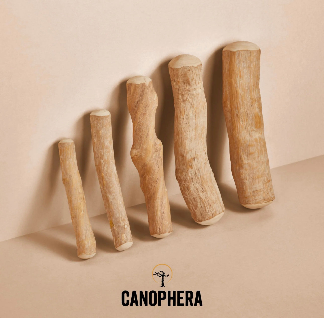 CNP Coffee Wood Chew Stick Extra Small