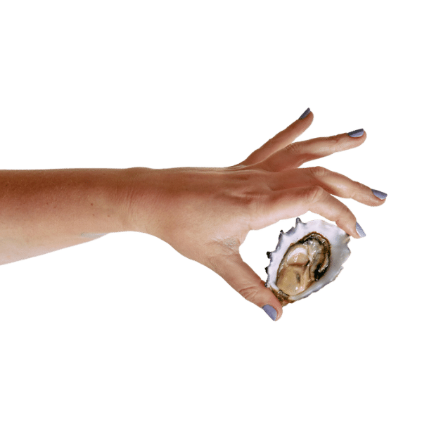 Vital Blend for Dogs: 250g