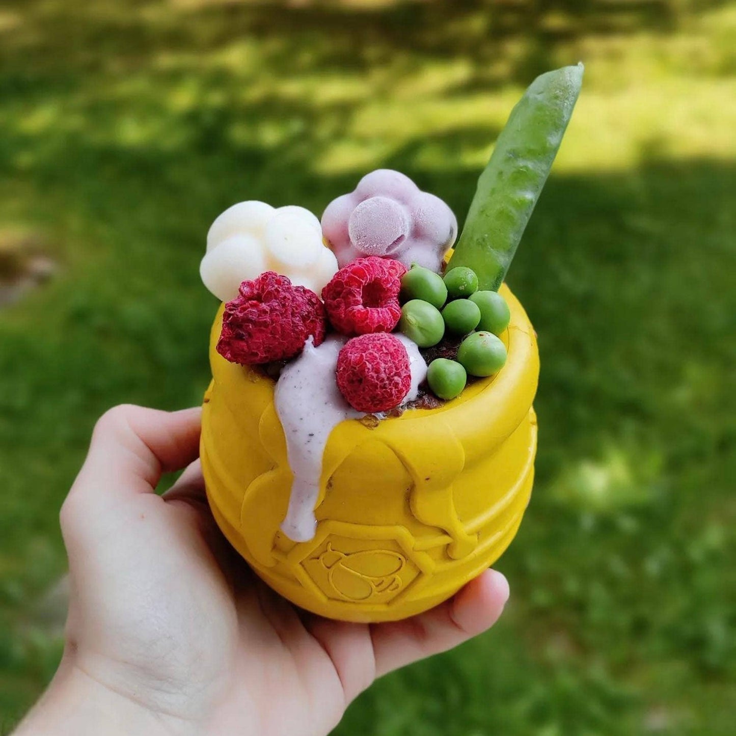 Large PUP-X Honey Pot Treat Dispenser: Blue