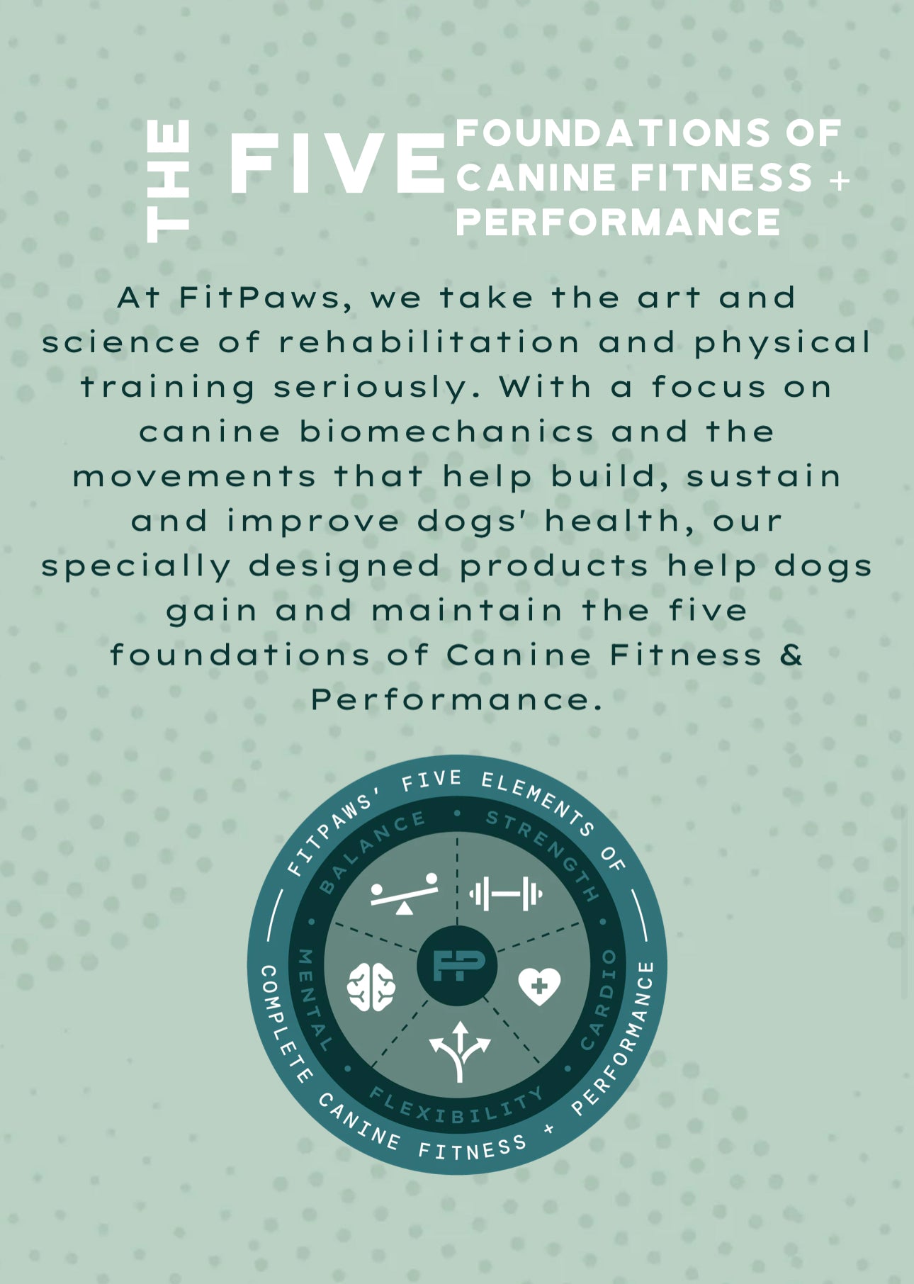 Mini K9FITbone Balance Training Platform (Set of 2)