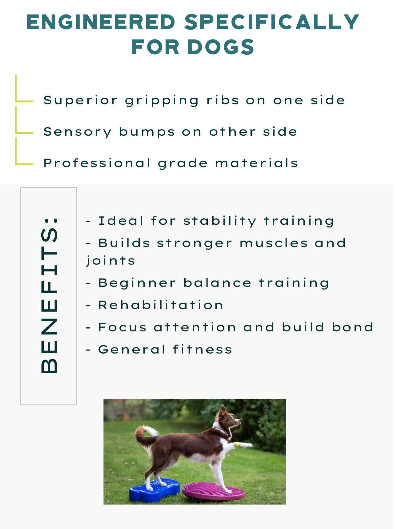 FitPAWS Balance Discs