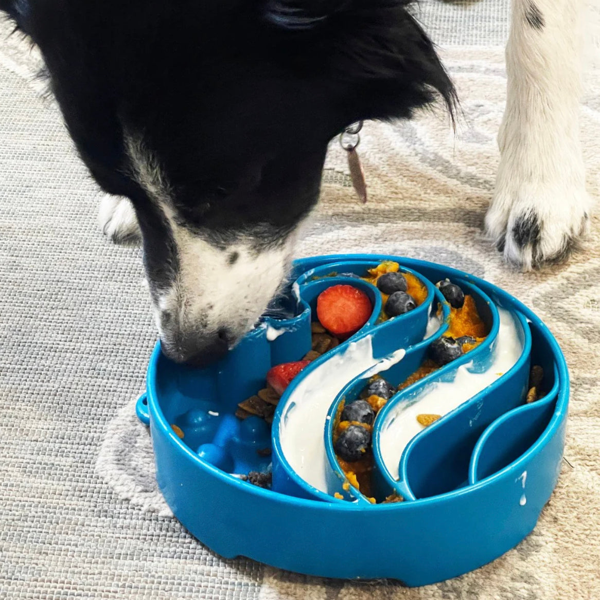 Wave Design eBowl Enrichment Slow Feeder Bowl for Dogs