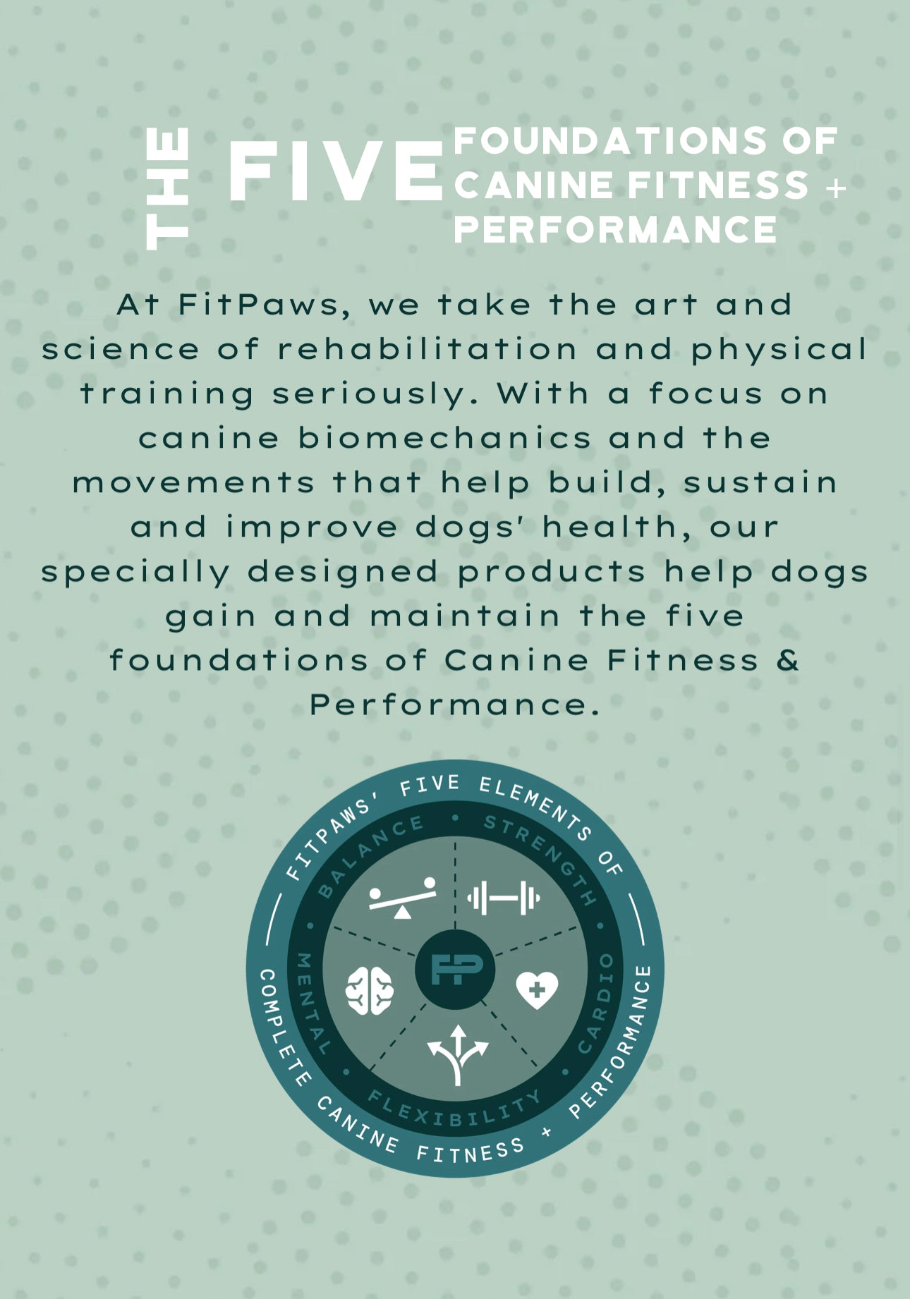 Caninegym K9FITbone Balance Training Platform - Original