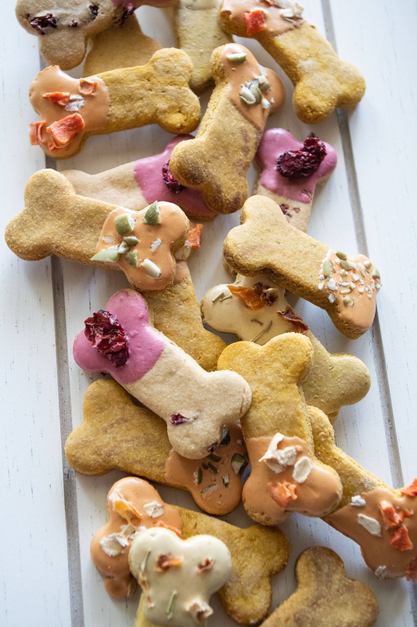 Fall Harvest Mix Biscuits - Fall Dog Biscuit Treats