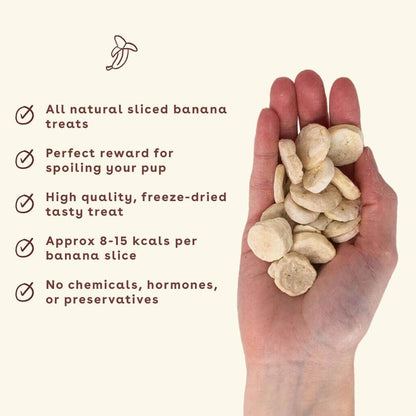 Banana Chips 3oz