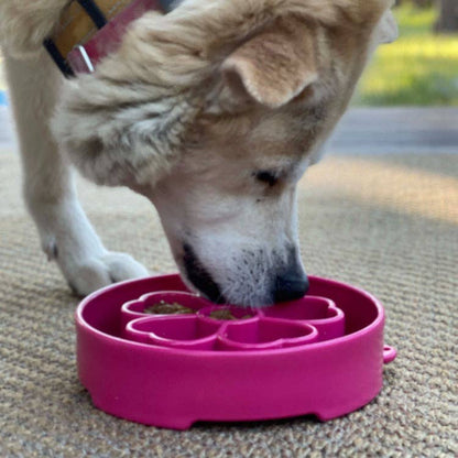 Flower Design eBowl Enrichment Slow Feeder Bowl for Dogs: Flower Bowl - Pink