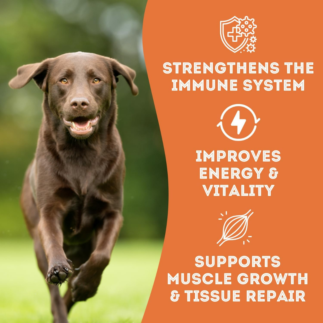 Pork Liver Dehydrated Pet Treats: High-Protein & Omega-3