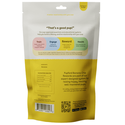 Banana Chips 3oz
