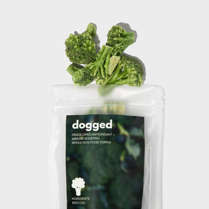 Dogged - Freeze Dried Broccoli Topper (limited edition)