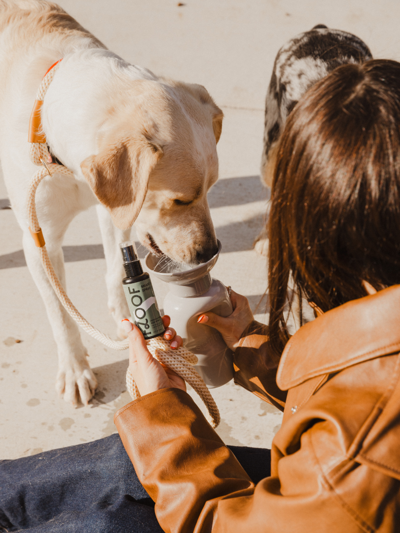 Smart Skin Spray : Small