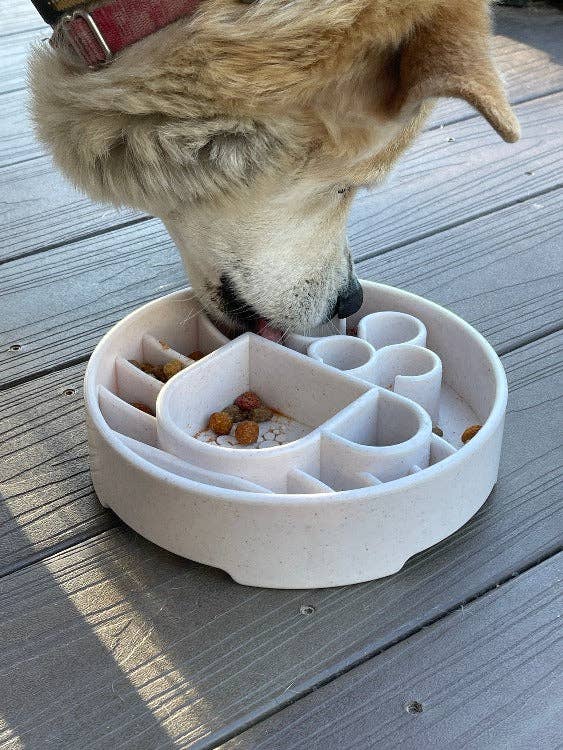 Java Design eBowl Enrichment Slow Feeder Bowl for Dogs: Coffee Bean