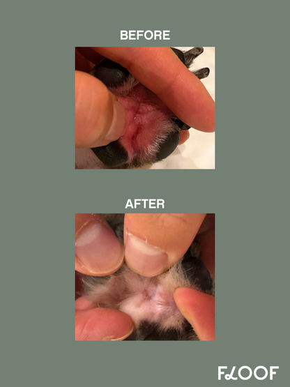 Smart Skin Spray : Small