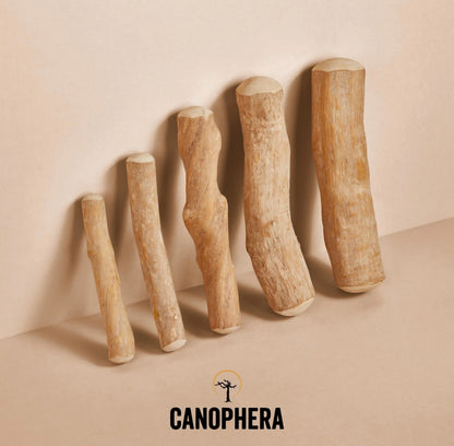 CNP Coffee Wood Chew Stick Extra Small