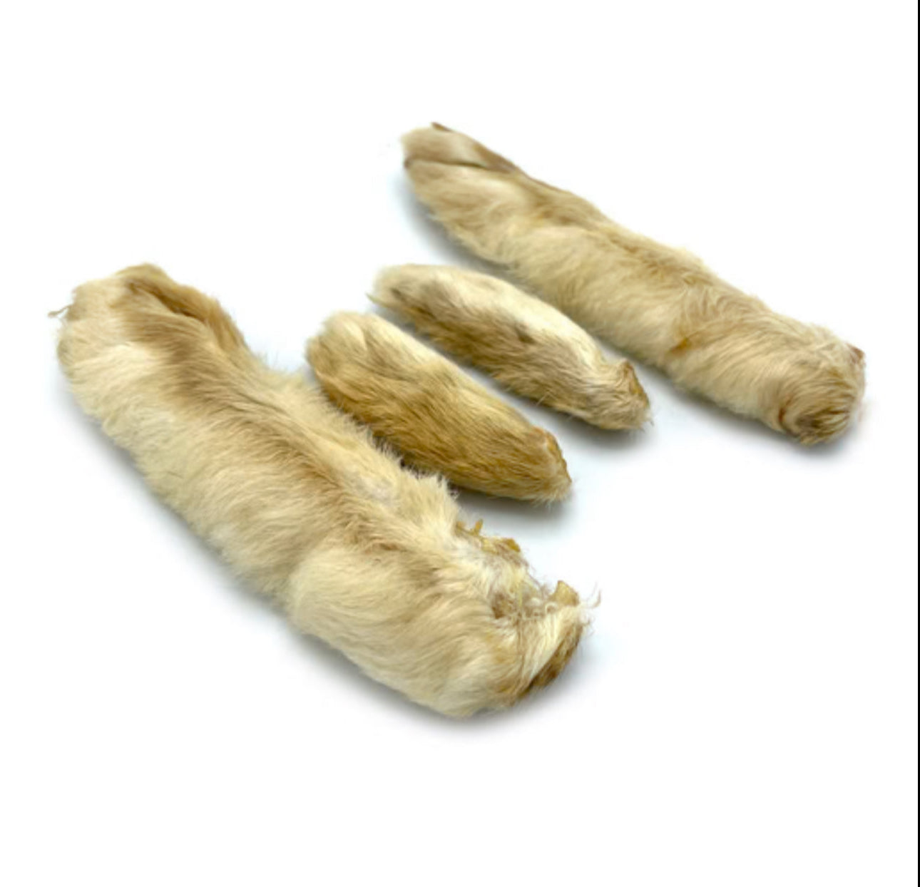 Rabbit Feet (Back Feet) – Everything Dogs