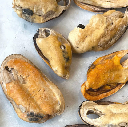 Gourmate Organic Green Lipped Mussels