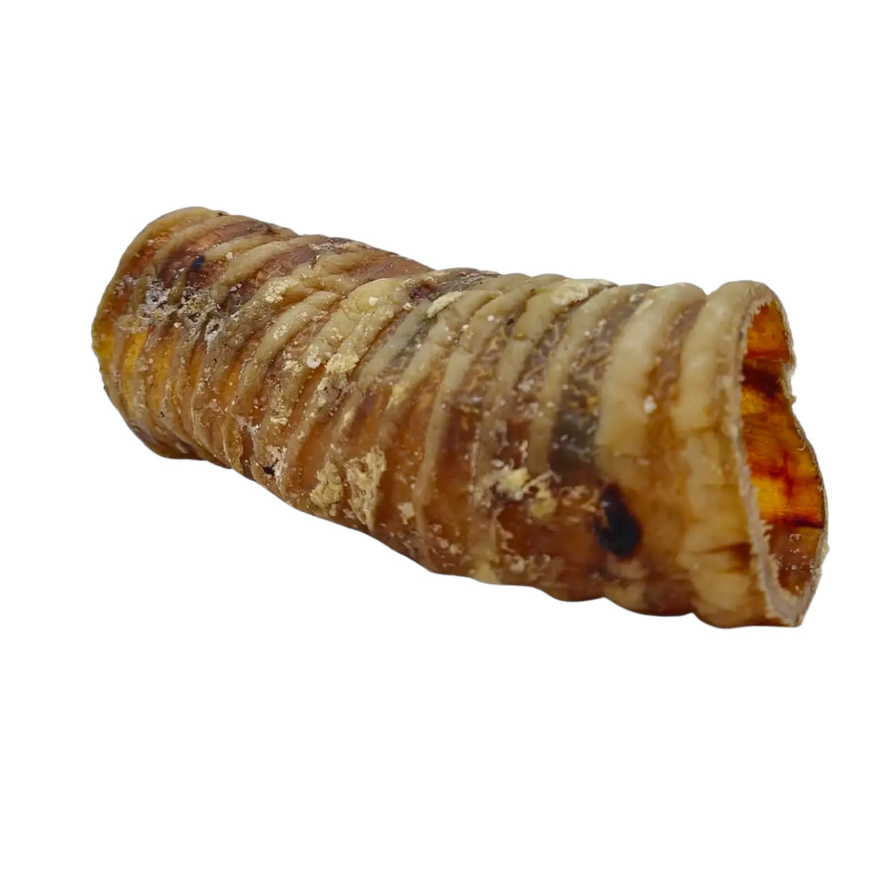 Dehydrated Beef Trachea