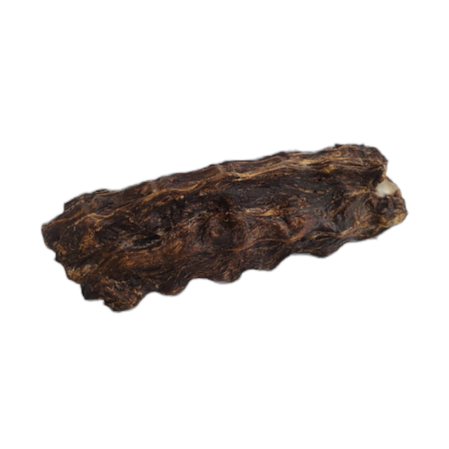 Kangaroo Lumbar (Backbone)
