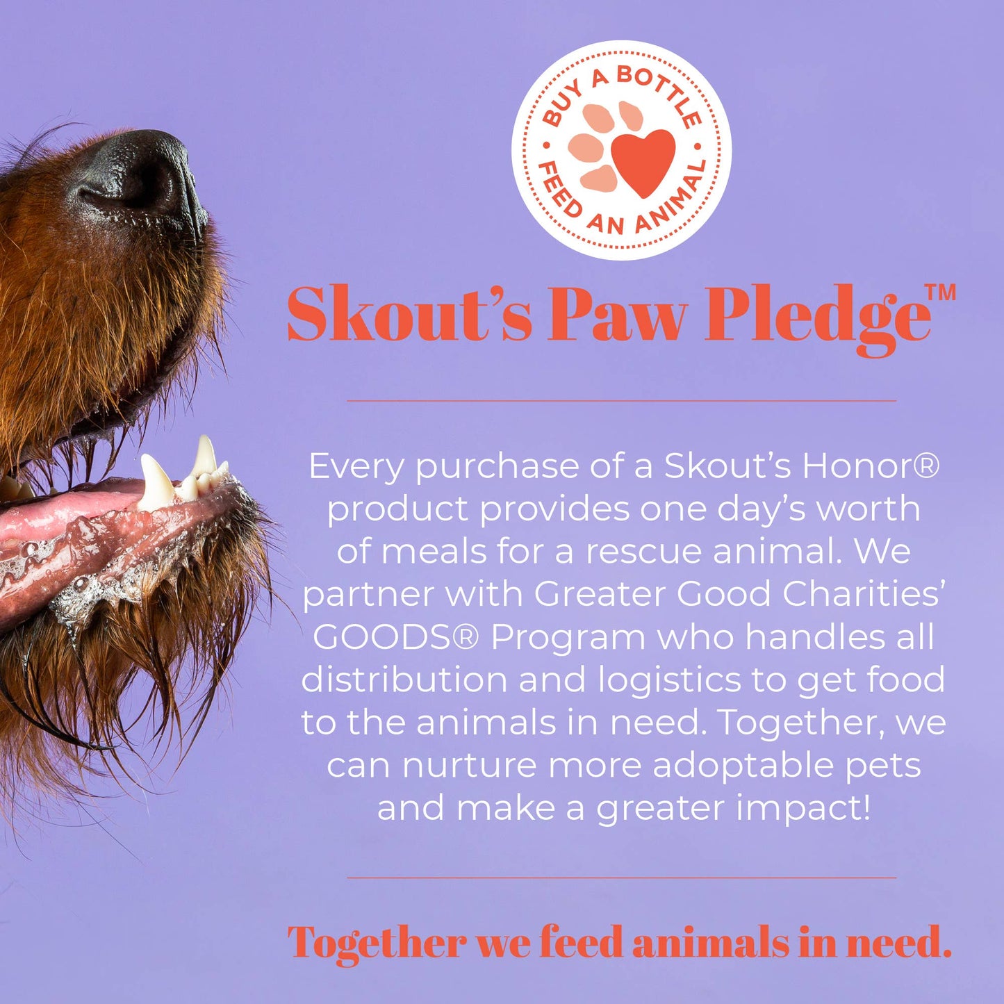 Skout's Honor Oral Care Pet Dental Wipes 50ct
