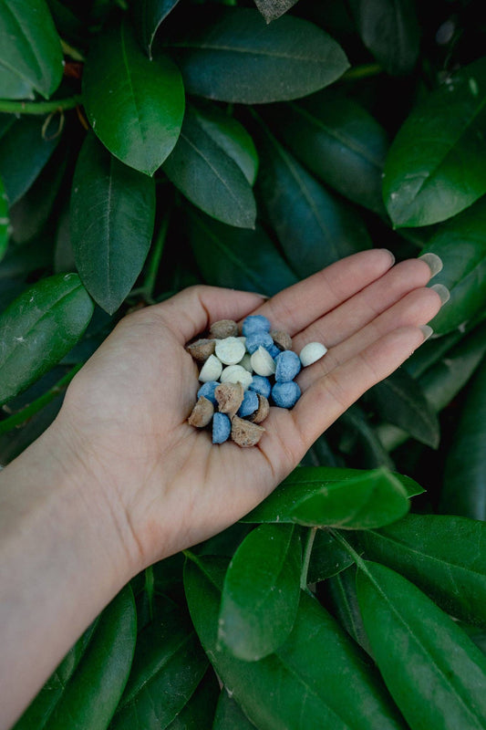 EGG WHITE AND GOAT MILK with blue spirulina + beet root | Freeze-Dried Dog + Cat Treat: 1 oz