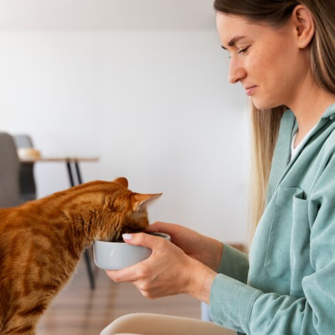 Pork Liver Dehydrated Pet Treats: High-Protein & Omega-3