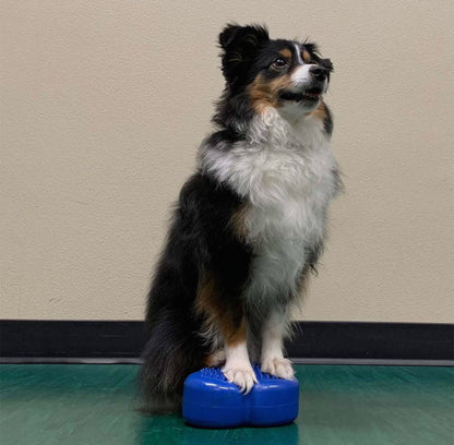 Mini K9FITbone Balance Training Platform (Set of 2)