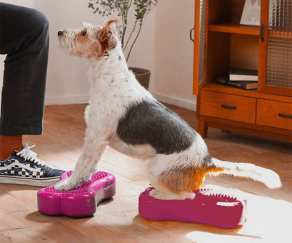 Mini K9FITbone Balance Training Platform (Set of 2)