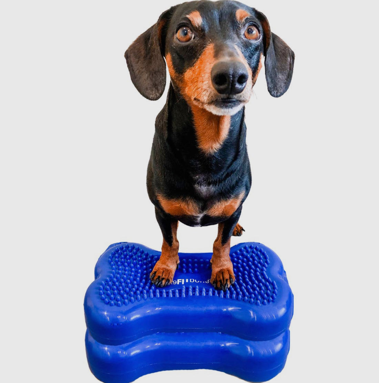 Mini K9FITbone Balance Training Platform (Set of 2)
