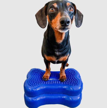 Mini K9FITbone Balance Training Platform (Set of 2)