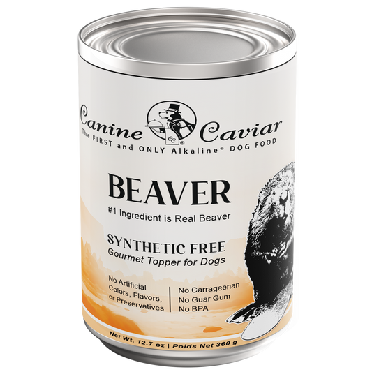 Synthetic Free Beaver